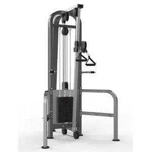 Dual Ajustable Pulley China Supplier Commercial Gym Equipment Body Building