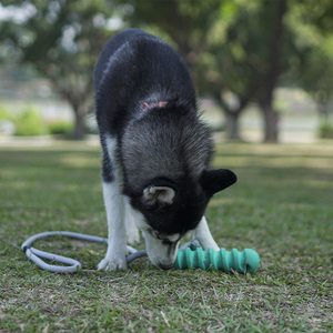 Negozio di animali giocattoli accessori per animali produttore giocattolo interattivo per cani in corda - Product Image 2