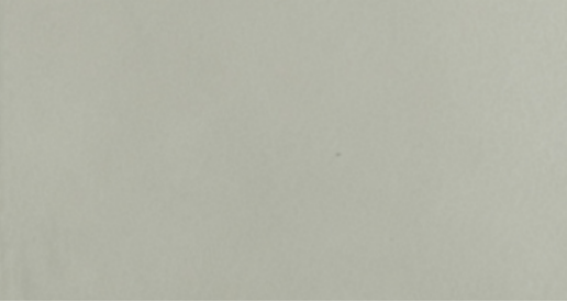 Gary al chiaro di luna