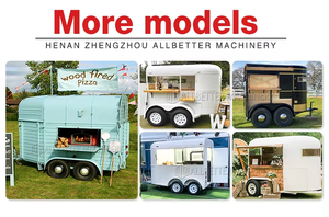 Carretto per Hot Dog, Rimorchio Mobile per Birra, Caffè, Succhi, Cocktail, Pizza e Gelati Completamente Attrezzato - Product Image 6