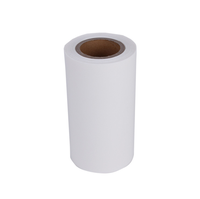 Rouleau de feuille de plastique en polystyrène PS blanc givré pour thermoformage