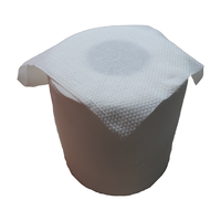 Super Hersteller 10% Viskose 90% Polyester Adult Windel Rohstoffe Spunlace Vliesstoff Full Cross Lapping Custom ized