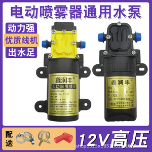 High-Pressure <b>12V</b> <b>DC</b> Agricultural Electric Sprayer with Water Pump and Sprayer Bottle Motor Universal for Pesticide Usage - Product Image 5