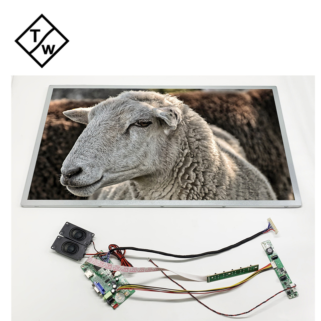 27-Inch Frameless LCD Monitor with IPS Panel 300 Brightness 60Hz HD VGA Input New & Featuring Built-in Speaker