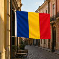 Drapeau roumain personnalisé de 3x5 pieds ; Drapeau promotionnel extérieur en polyester non tissé ; Signalétique imprimée numériquement résistante aux UV