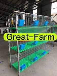 Gübre tepsisi ekonomik ucuz seçeneği ile yeni ticari tavşan yetiştiriciliği galvanizli kafesleri - Product Image 3