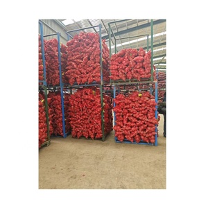 Fournisseur d'oignons de qualité fraîche Prix d'exportation d'oignons ronds Vente en gros d'oignons rouges frais naturels - Product Image 2