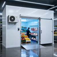 Contenedor Refrigerado Móvil Comercial Bingfeng de 20 pies con Panel Solar, Certificado CE, Motor Automático R-32