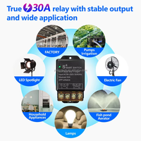 Controlador de Interruptor Inteligente WiFi Ewelink con Código de Aprendizaje, 110V 220V 30A, 6 Botones, Alcance de 50m, Interruptor de Pared para Luz, Módulo de Voz con Temporizador Alexa