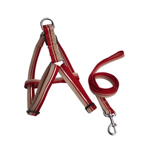 <span class=keywords><strong>Harnais</strong></span> pour <span class=keywords><strong>chat</strong></span> rayé résistant à l'usure avec anneau métallique, <span class=keywords><strong>harnais</strong></span> et laisse confortables pour animaux de compagnie pour les voyages en plein air et l'entraînement - Product Image 4
