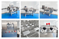 Machine à paner en acier inoxydable, enrobeuse de farine industrielle, équipement de panification alimentaire