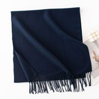 Écharpe en cachemire douce et chaude pour l'hiver, vente en gros directe d'usine, couleur unie bleue, écharpes en polyester bon marché pour la promotion en magasin