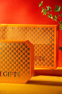 Tonique haut de gamme Dendrobium, Velours d'antlers de <span class=keywords><strong>cerf</strong></span>, Cadeaux de Festival du Printemps et de fêtes pour les aînés et les amis - Product Image 2