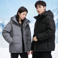 Veste décontractée pour homme, personnalisée, très vendue, imperméable, grande taille, à capuche, chaude, coupe-vent, durable, noire, grise, respirante