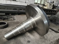 Fabrication OEM de tiges à pas en acier au carbone forgé à grande échelle |   Vilebrequin et arbre principal industriels robustes