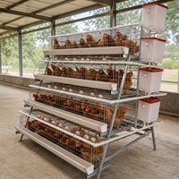Nouvelle cage d'élevage de poulets de type A pour ferme avicole HK, en acier galvanisé à chaud, économe en énergie, à vendre