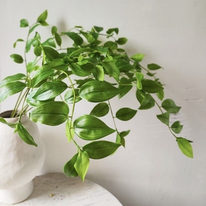 Nuove Piante Artificiali Realistiche al Tatto per Composizioni Floreali e Decorazioni <span class=keywords><strong>d</strong></span>'<span class=keywords><strong>Interni</strong></span> - Product Image 5
