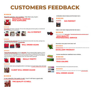 Rosas eternas flores preservadas rosas eternas preservadas 2024 Rosa decorativa para siempre caja regalo rosas preservadas - Product Image 6