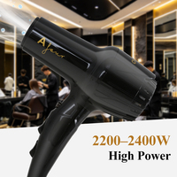 Sèche-cheveux ionique professionnel à séchage rapide pour des cheveux sans frisottis, 3 niveaux de chaleur avec fonction air froid, sèche-cheveux léger 2400W