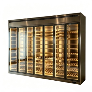 Vinoteca Moderna de Lujo Personalizada, Independiente, con Puerta de Vidrio Templado e Iluminación LED, para Almacenamiento en Villas, Hoteles, Bares y Hogares, OEM/ODM, con Iluminación Ambiental LED - Product Image 1