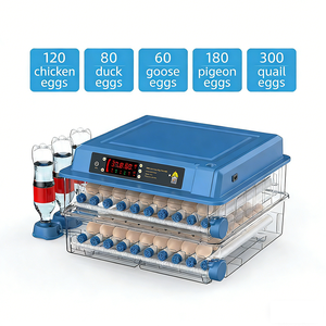 Incubadora de Huevos Automática 3 en 1 con Espacio Ajustable para Aves de Corral, Incubadora Doméstica para Pollos, Patos, Gansos y <span class=keywords><strong>Palomas</strong></span> - Product Image 6