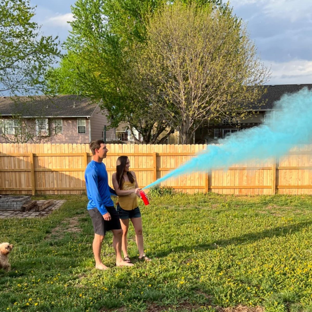 Workkeep Gender Reveal Fire Extinguisher Color Blasters