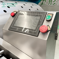 Continue automatische fruit- en groentestrip-snijmachine, hoge snelheid friet snijmachine voor wortelgroenten