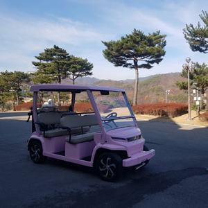 Vehículo Nuevo: Carro de Golf Eléctrico de Nuevo Diseño, Prototipo, Certificado CE, GCC, EEC para Carreteras No Públicas, para Socios y Distribuidores - Product Image 3