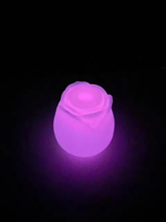 Vibrateur rose qui brille dans le noir, suceur clitoridien et suceur de tétons, stimulateur du clitoris, jouet sexuel lumineux pour femmes
