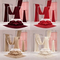 Rideaux en tulle colorés pour la décoration de mariage, les toiles de fond de studio photo, styles coréens/français vintage, utilisables toute l'année