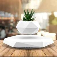 Pot de fleurs en lévitation magnétique en plastique imprimé en 3D Art déco Écologique Pot de bonsaï Pot de plante flottant Décoration de la maison