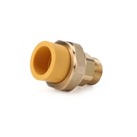 Harga bagus GB/T 18742 standar dipoles tahan lama pria Thread Union fitting PPR 1/2 "3/4" 1 "untuk koneksi pipa air