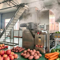 Stoomschilmachine voor abrikozen en pruimen, laagverliezende fruitstoomschilmachine voor de verwerking van geconserveerd fruit
