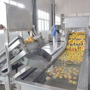 Fornitura diretta dalla fabbrica di albicocca di pesca <span class=keywords><strong>in</strong></span> scatola nell'impianto di lavorazione dello sciroppo - Product Image 3