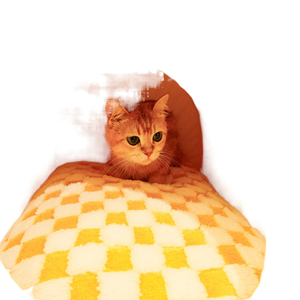 Gran oferta, dulce nido para mascotas, cesta cálida de invierno para mascotas, estilo de dibujos animados, semicerrado, Algodón puro, cama cueva para gatos - Product Image 5