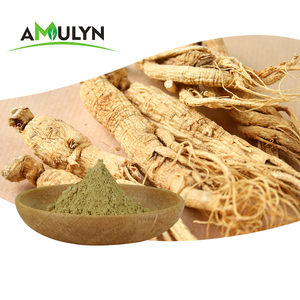 人参根提取物人参皂苷5% 10% 粉末高丽参提取物 - Product Image 2
