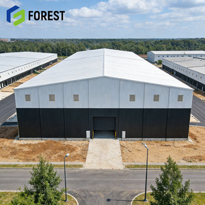 Kit de Almacén de Estructura de Acero Modular de Construcción Rápida, Resistente, Empaque Plano, Fácil Montaje, Tamaño Personalizable para Uso en Centros Comerciales y Apartamentos - Product Image 1