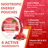 Pochettes Énergétiques Buccales Alpha Nootropiques en Gros pour OEM, Sans Nicotine, L-Théanine 100mg, Caféine, Pochettes à Mâcher pour la Concentration