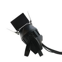 200W COB LED Par Light Étanche IP65 Blanc Chaud Public Blinder Projecteurs pour Parcs À Thème