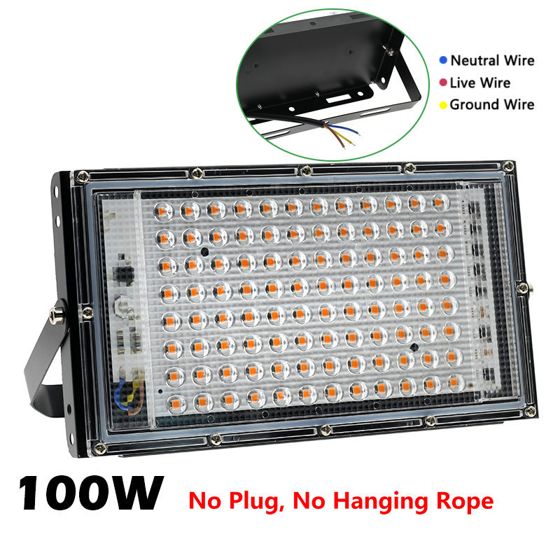 100W without plug