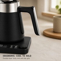 Bouilloire électrique à col de cygne personnalisable OEM/ODM avec logo, 1L, 1200W, 6 préréglages de température, pour la maison et la cuisine
