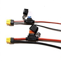 Kotak Sambungan Tahan Air Custom 300mm XT60 Plug Kabel Harness 12V 2-Pin Kabel Sambungan Baterai Dengan Sekring