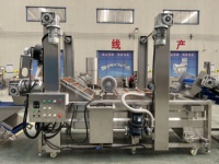 Fruit- en groentewasmachine - 380V 2,5kW Grote capaciteit & eenvoudige bediening