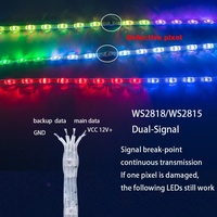 Lampu String Pixel Pebble LED WS2818 DC12V 4Pin Pitch 2CM RGB Addressable IP67 Kabel Transparan, Dapat Memulihkan Data Cadangan Dari Titik Putus