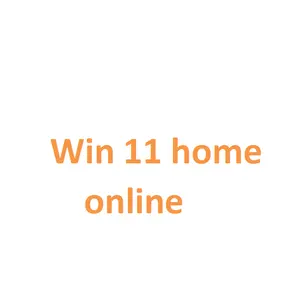 Win 11 Home Key Win 11 Home Digital Key Retailメールまたはアリチャットで送信