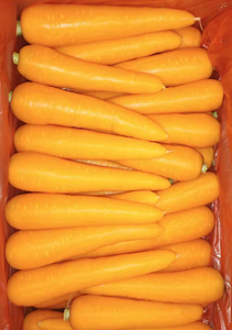 Cà rốt vàng tươi chất lượng cao, vụ mới, bán chạy, nông dân giàu có ở Cao Bình - Product Image 2