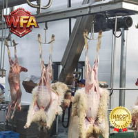 Équipement de traitement du bétail halal avec moteur et pompe intégrés, conception clé en main pour l'industrie de la viande, système ferroviaire