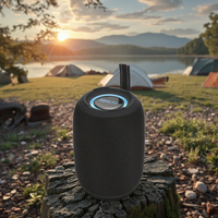 Mini haut-parleurs portables TWS Subwoofer sans fil à lumière LED RVB avec son stéréo de basse USB pour les fêtes musicales en plein air