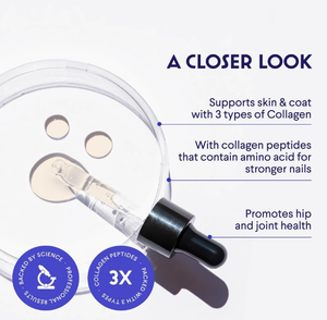 Collagène de qualité supérieure personnalisé pour chiens Soutien liquide pour la peau, le pelage, les hanches et les articulations avec acide hyaluronique et supplément de collagène pour animaux de compagnie - Product Image 3