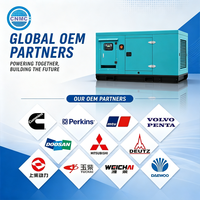 Générateur diesel certifié EPA de 40 kW à 800 kW, homologué OEM Yuchai, pour alimentation de secours de centre de données, groupe électrogène silencieux en conteneur